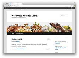 wordpress webshop laten maken