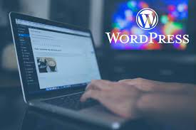 webdesigner wordpress