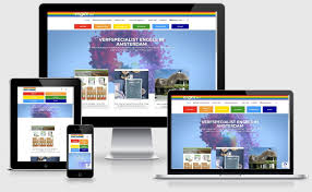 professionele wordpress webshop laten ontwerpen