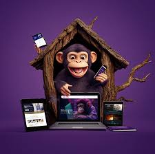 monkey webdesign