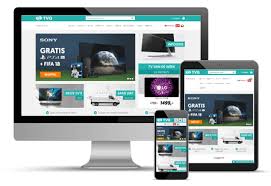 professionele site maken