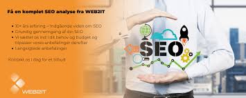 seo analyse