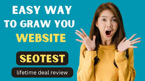 seotest